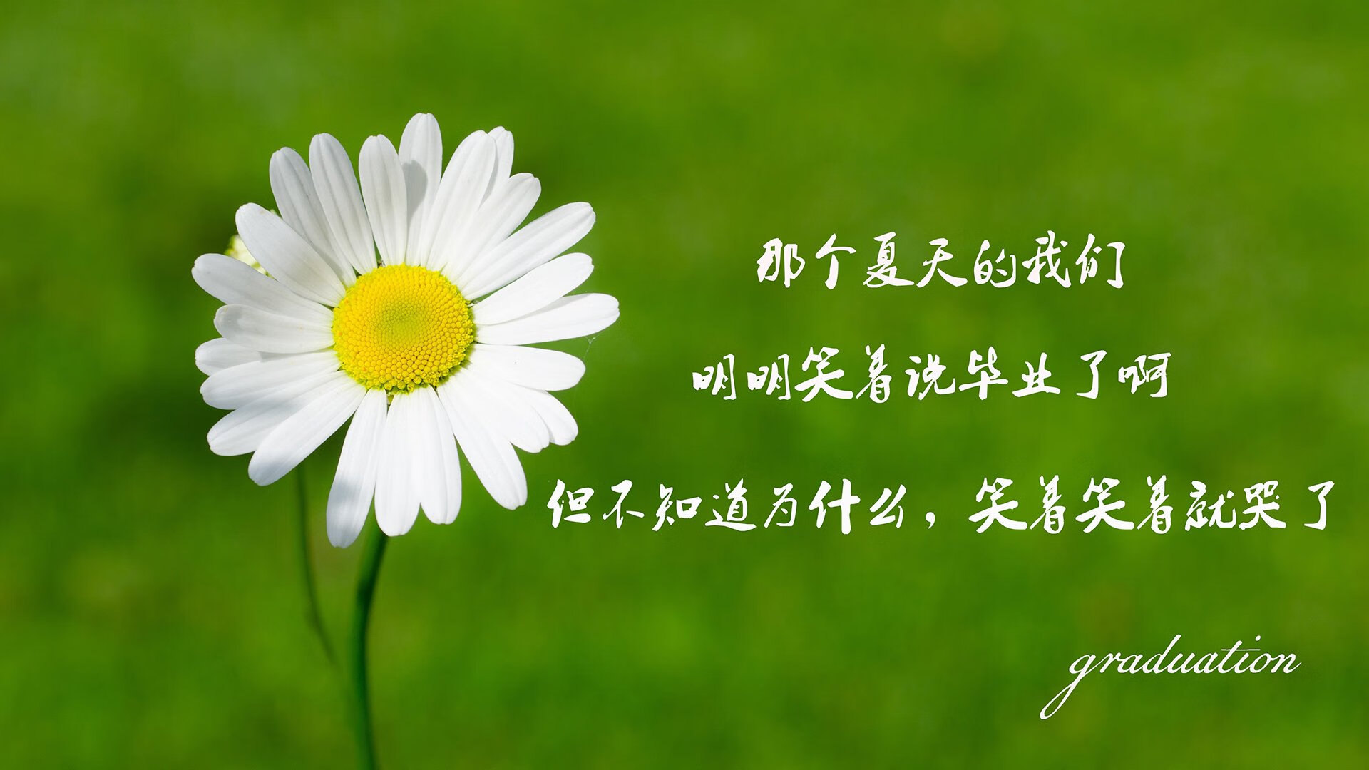 KAIYUNAPP-英格兰骑手安娜·史密斯在巴黎奥运会障碍赛中获得铜牌，表现出色。
