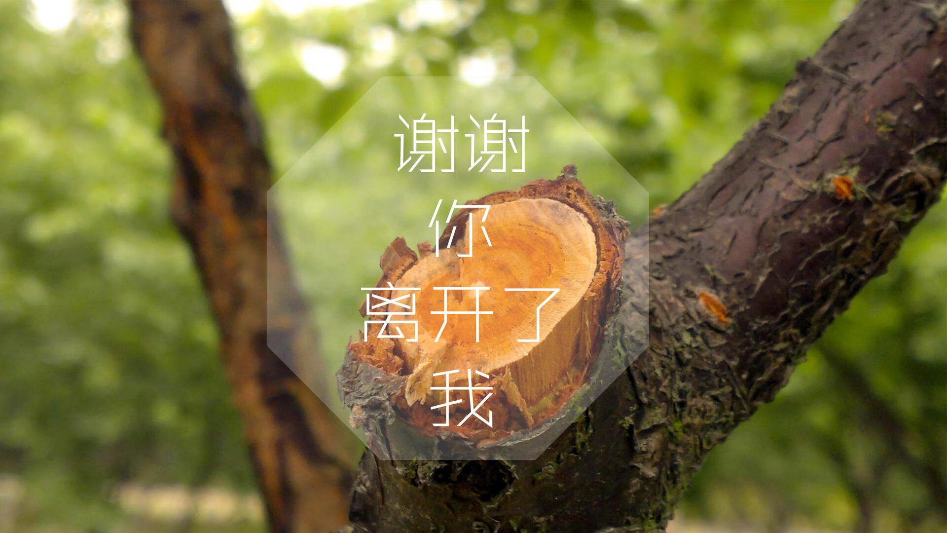 高明的应变：比赛中突发状况的巧妙应对