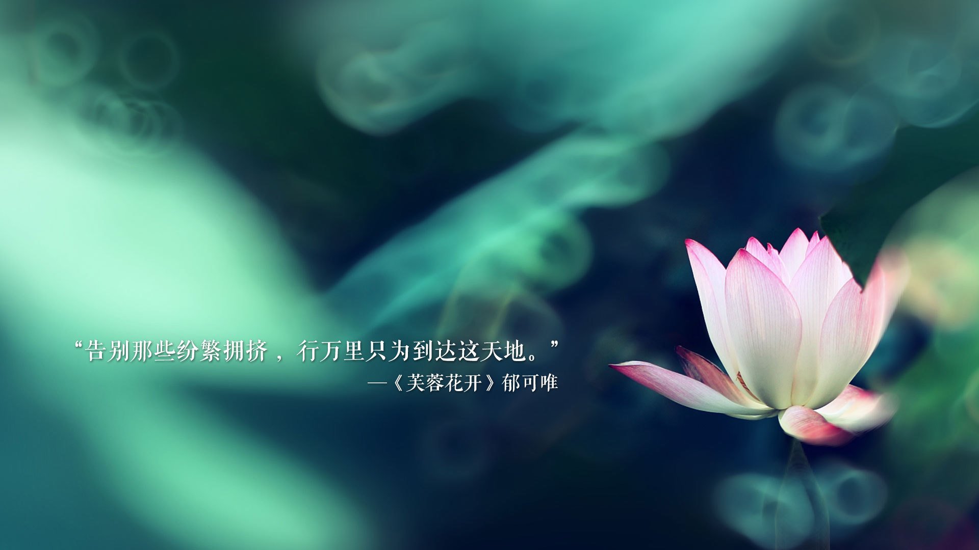 格拉纳达主场1-1战平西班牙人，双方互交白卷，格拉纳达对西班牙人直播