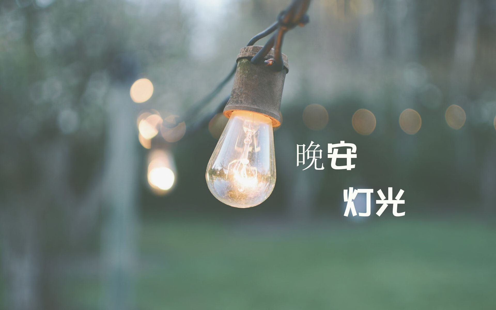开云官方网页登录-沃尔夫斯堡球队新援表现出色，助力球队迎来连胜，沃尔夫斯堡足球队