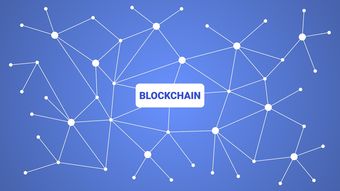 KAIYUNAPP-英超青训采用虚拟现实技术强化战术理解与应变能力，英超试训