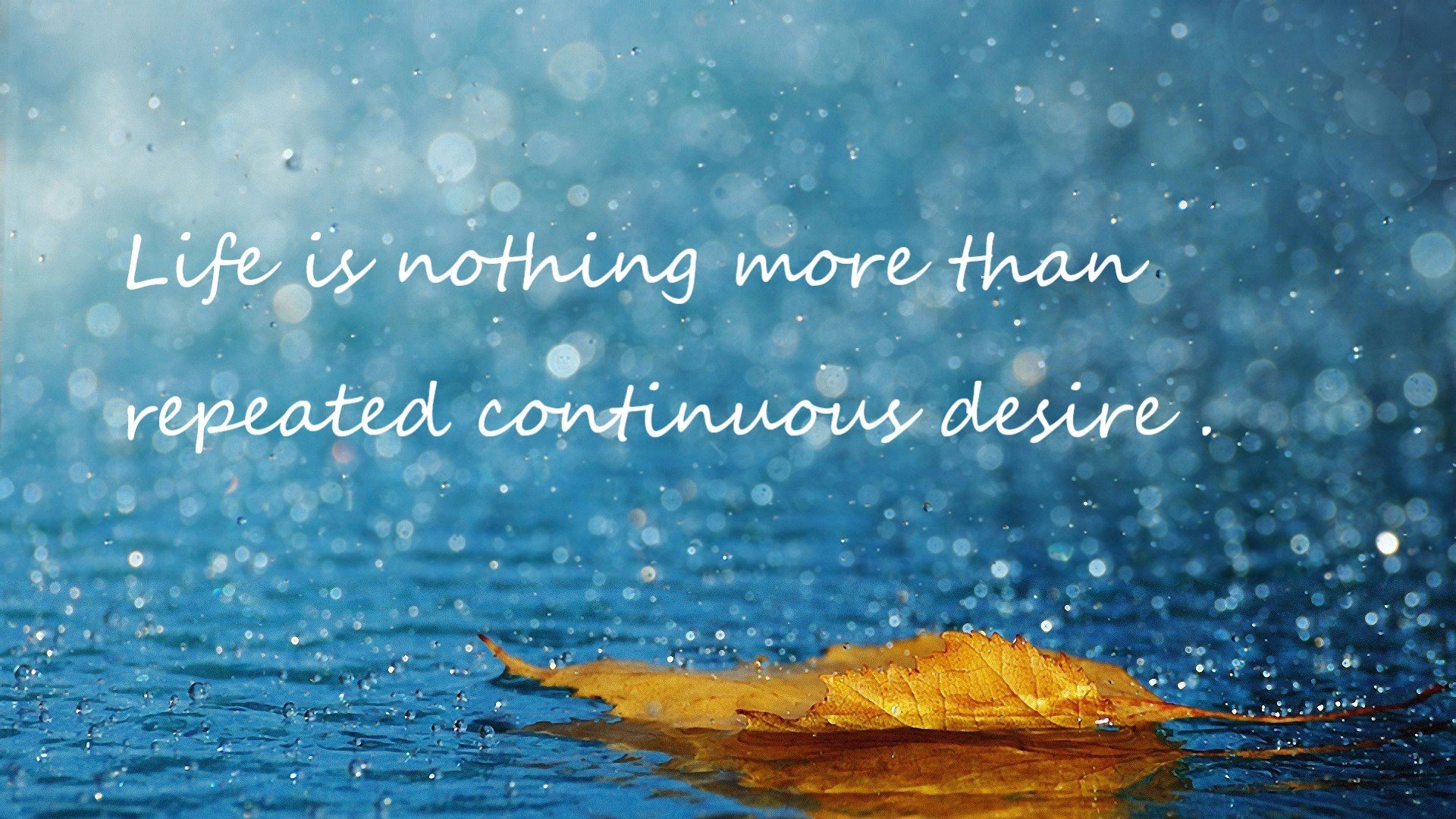 kaiyun网站-中国女篮着眼长远发展 年轻阵容逐步成熟，中国女篮年龄结构