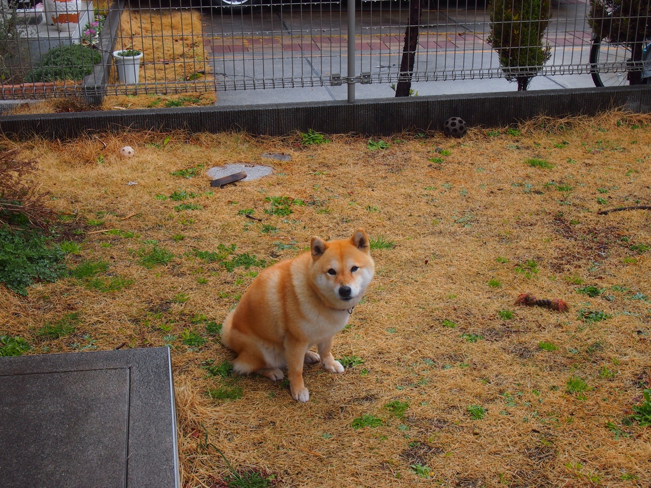 中国女篮着眼长远发展 年轻阵容逐步成熟，中国女篮年龄结构