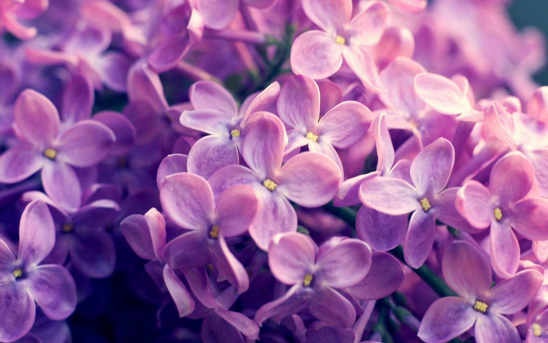 中国女篮着眼细节优化攻防效率，看看中国女篮