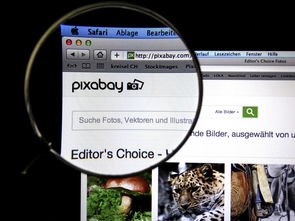 kaiyun中国官方网站-体育新闻中心发布体育短视频传播效果白皮书，体育短视频成为平台和用户的新宠