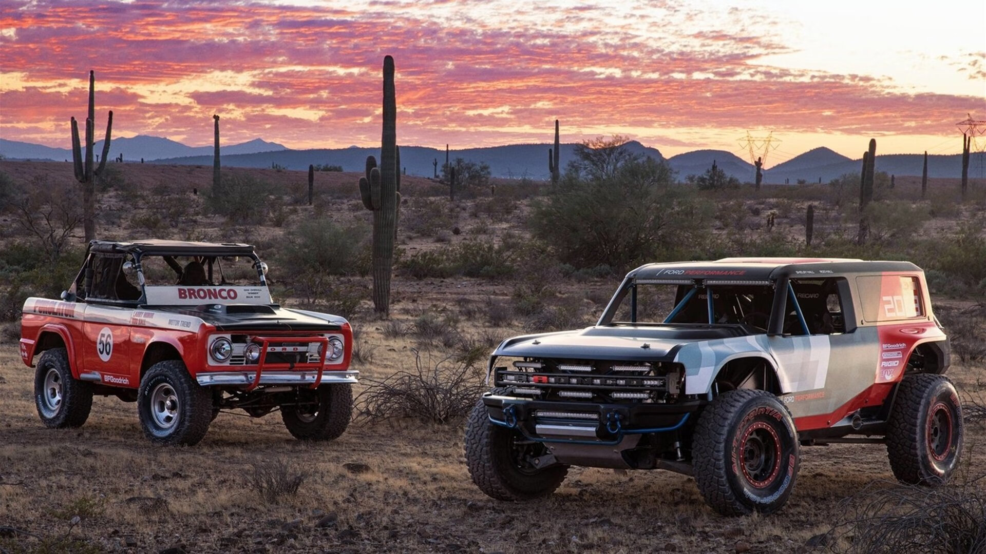 瑞典乒乓球队未来：科学化管理与个性化训练并行，瑞典乒乓球队员名单