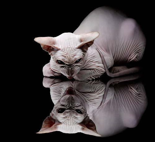 足球俱乐部青训体系不断完善，足球青训俱乐部规章制度