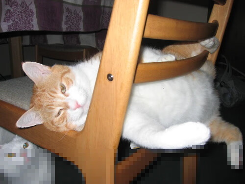 kaiyun体育app-乌干达女篮在非洲锦标赛中持续冲锋，迎来体育新高峰，乌干达女子篮球联赛