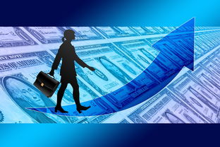 开云官方网页登录-女子赛事门票收入创新高，商业赞助进一步跟进，女子锦标赛