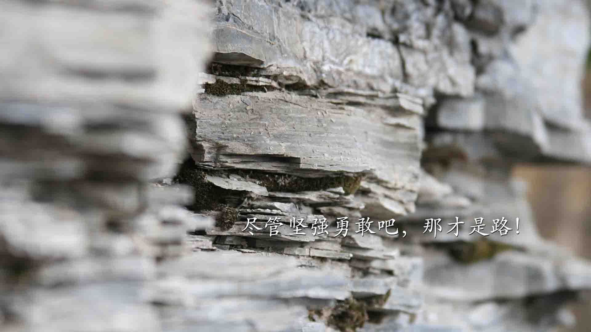 女子赛事门票收入创新高，商业赞助进一步跟进，女子锦标赛