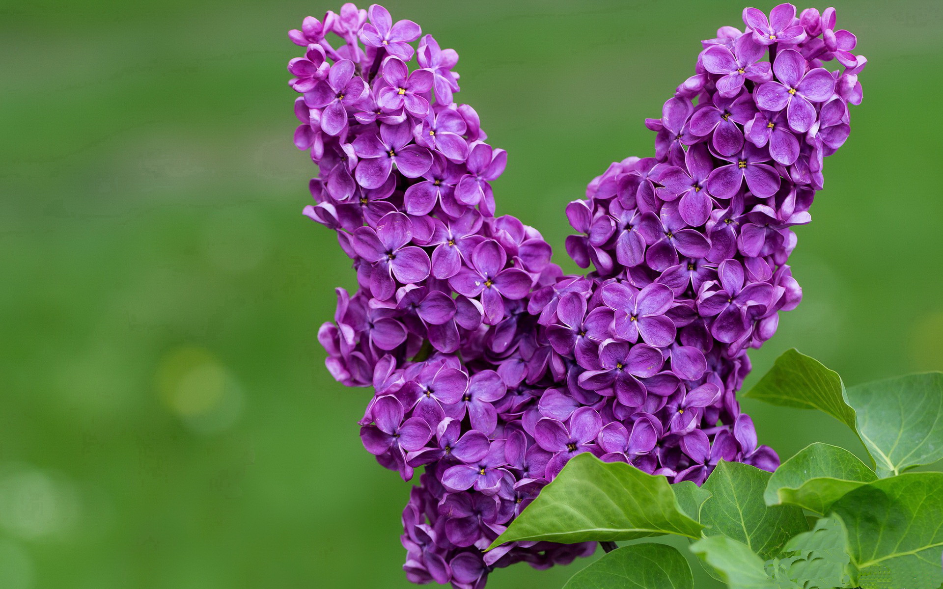 皇马青训再获佳绩，新星层出不穷