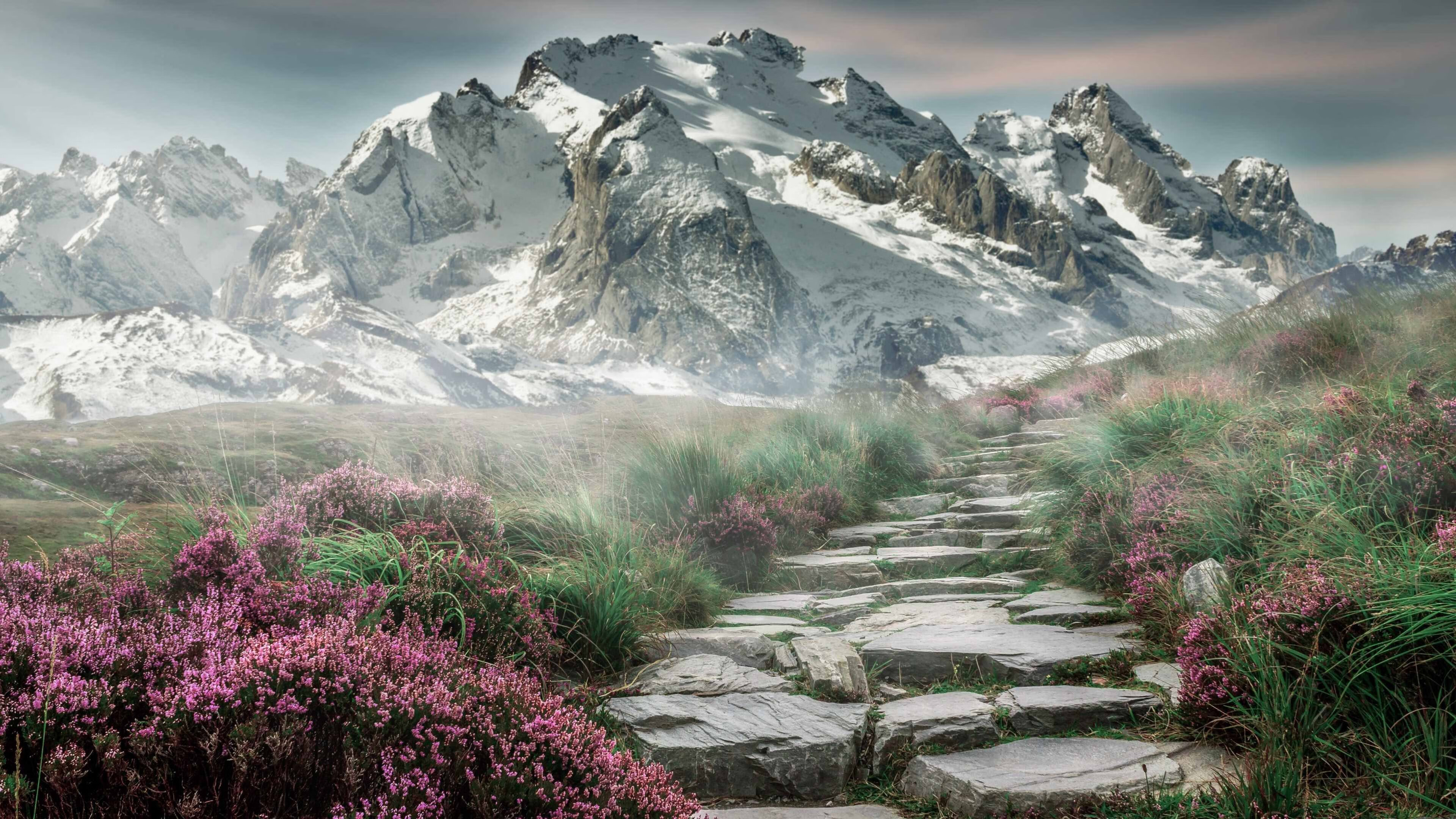 英格兰橄榄球试点智能训练装备，英格兰橄榄球联赛