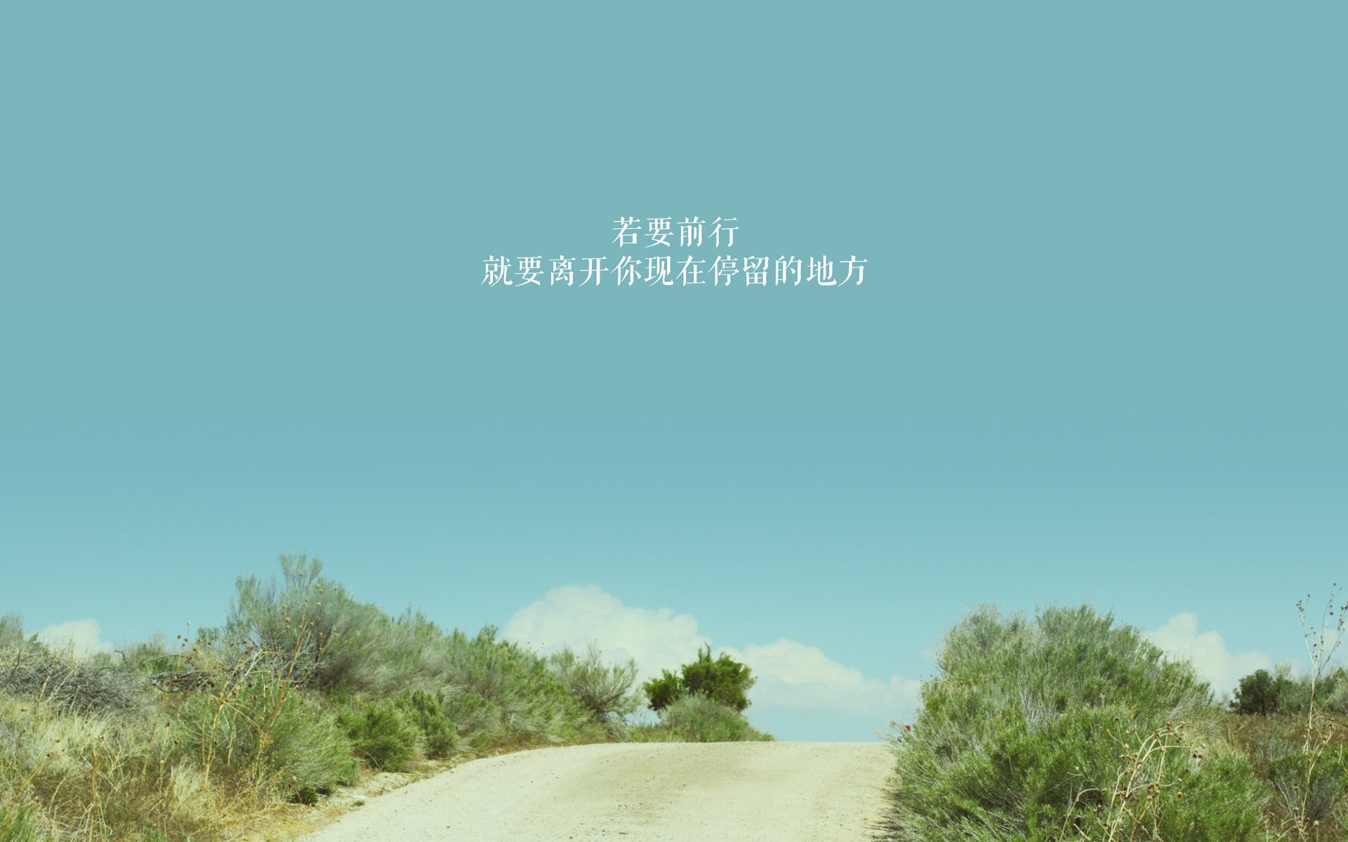 开云·体育官网-艾比·德尔福：关键的防守时刻，成为南非队稳定防线的重要人物